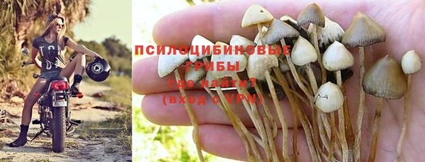 скорость Сатка