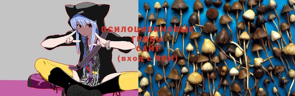 кокаин премиум Белокуриха